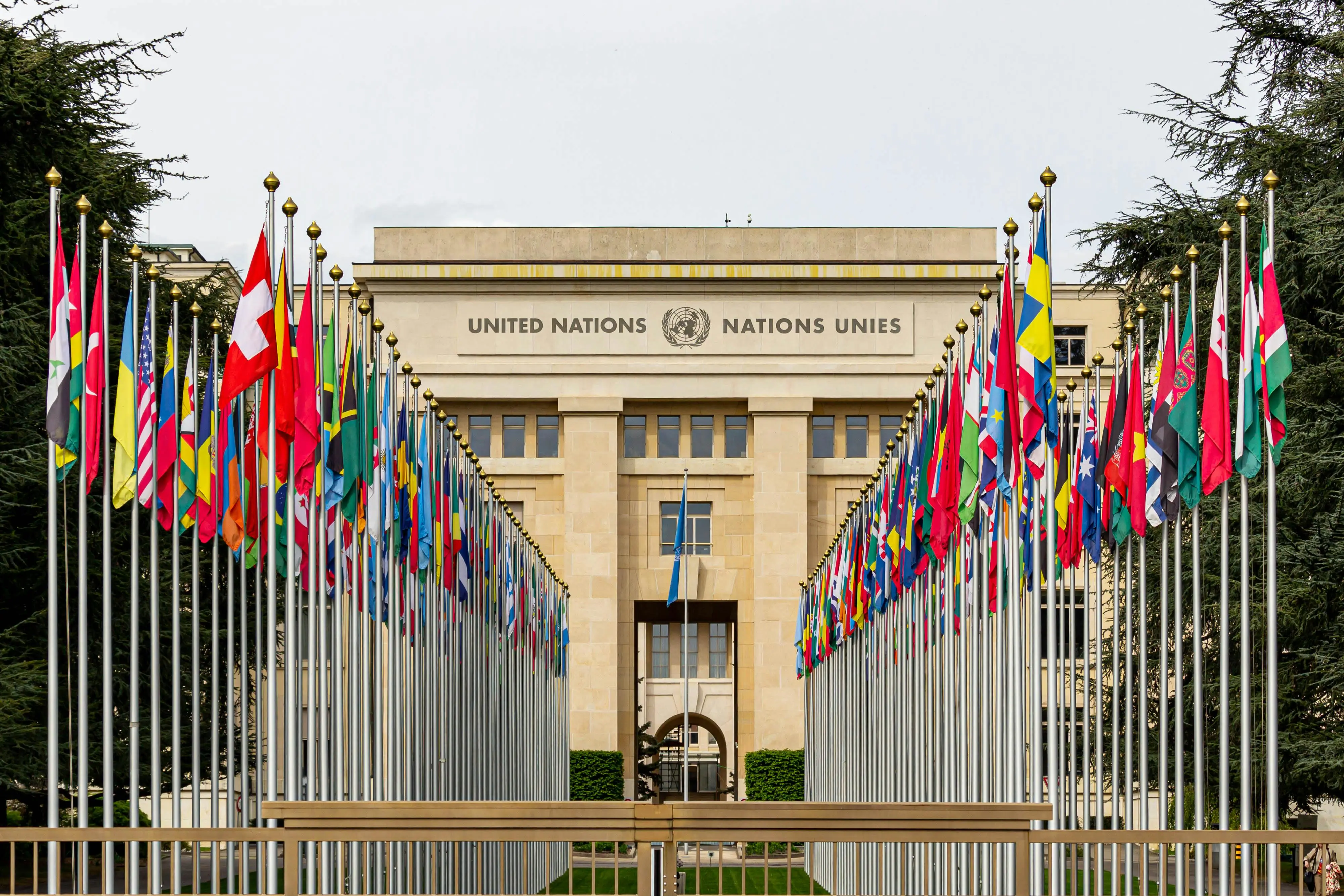 Government and diplomatic ground transport